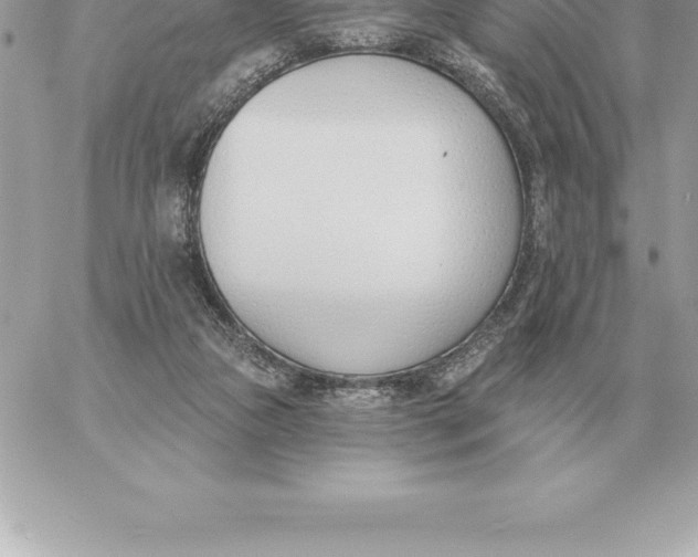 X0000060270161200511112056