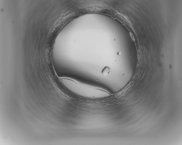 X0000060270162200511112056