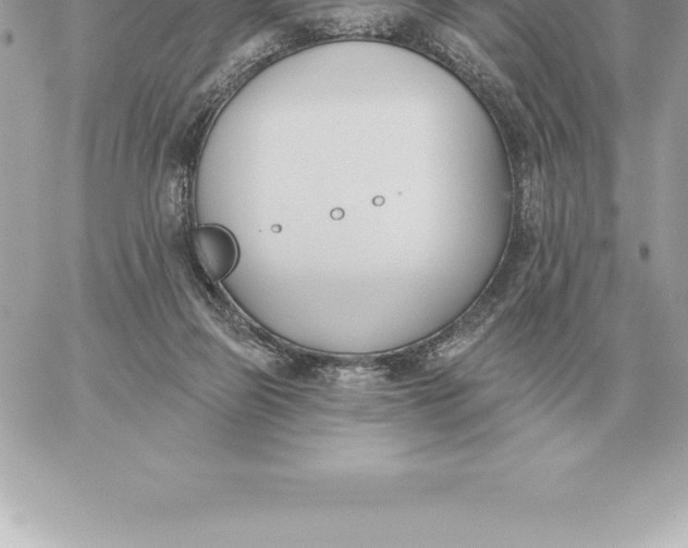 X0000060270165200511112056