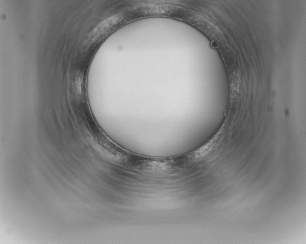 X0000060270166200511112056