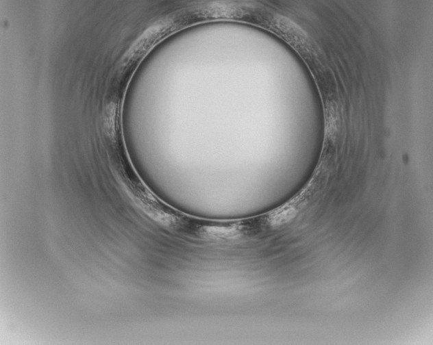 X0000060270167200511112056