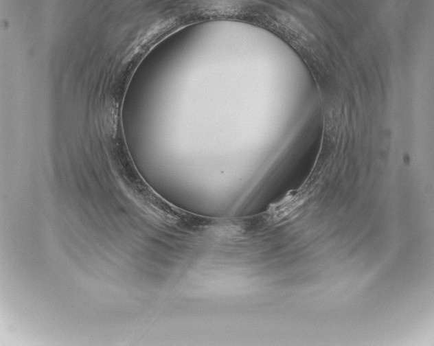 X0000060270168200511112056