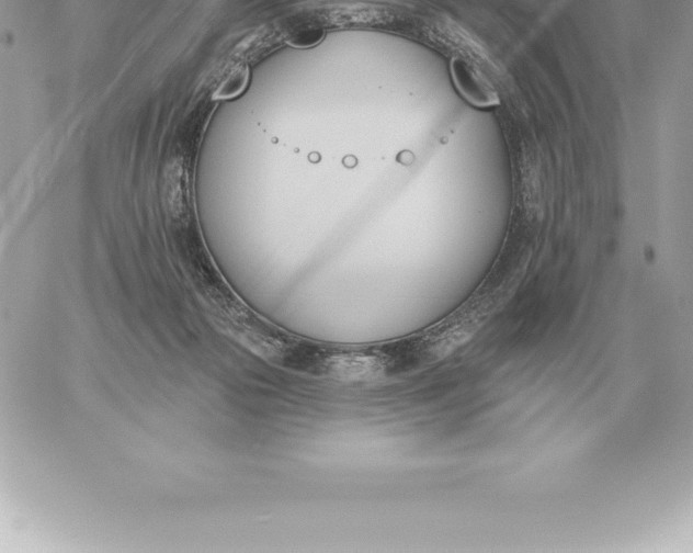 X0000060270169200511112056