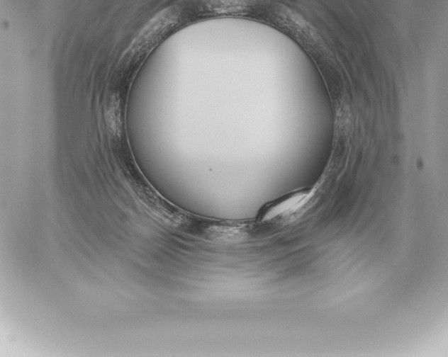 X0000060270170200511112056