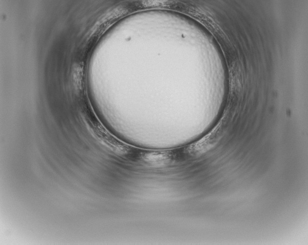 X0000060270171200511112056