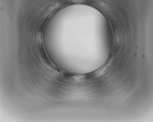 X0000060270172200511112056