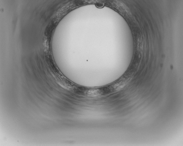 X0000060270173200511112056