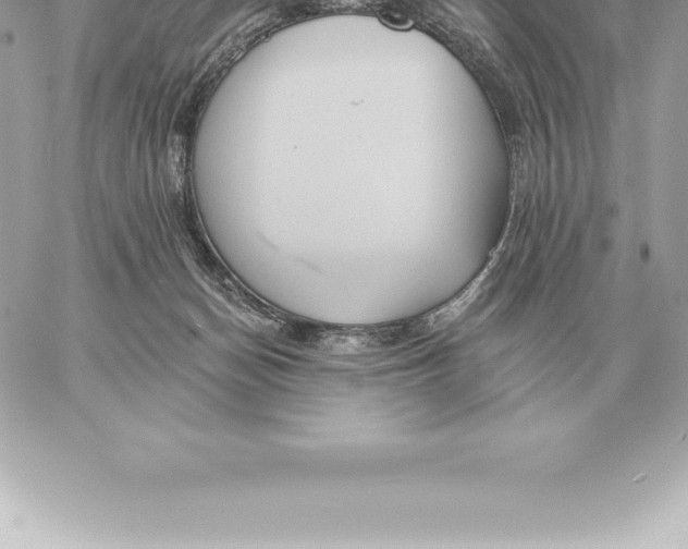 X0000060270174200511112056