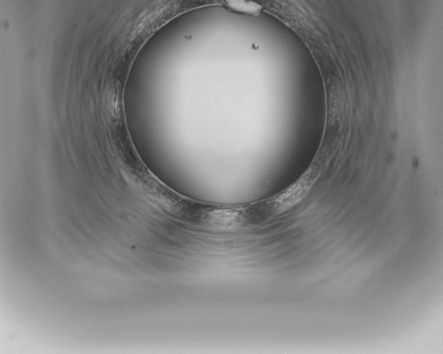 X0000060270176200511112056