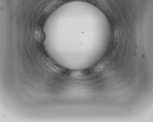 X0000060270177200511112056