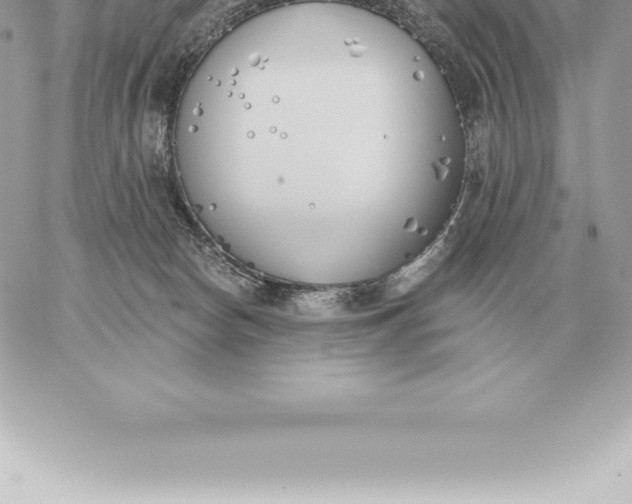 X0000060270178200511112056