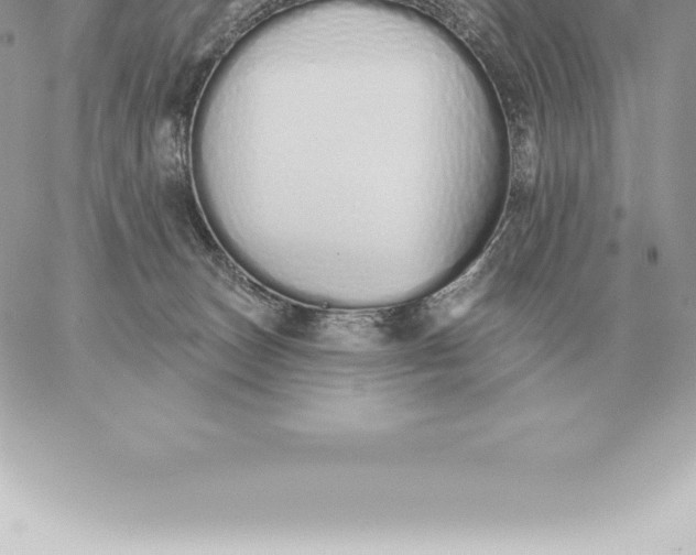 X0000060270179200511112056