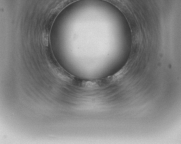 X0000060270180200511112056