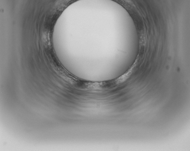 X0000060270182200511112056