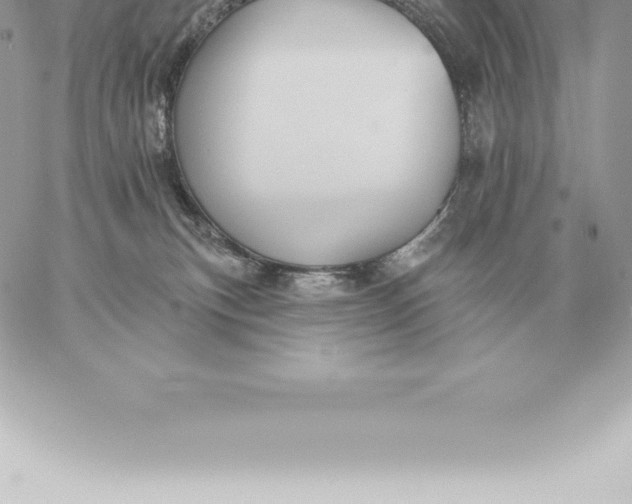 X0000060270183200511112056