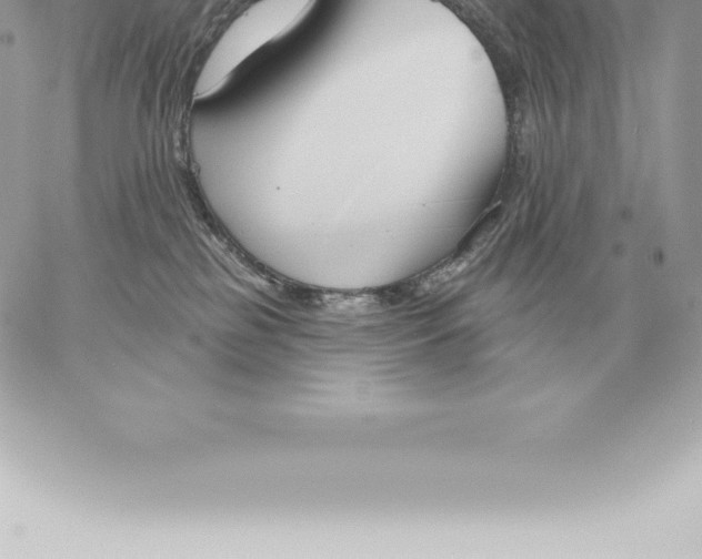 X0000060270185200511112056