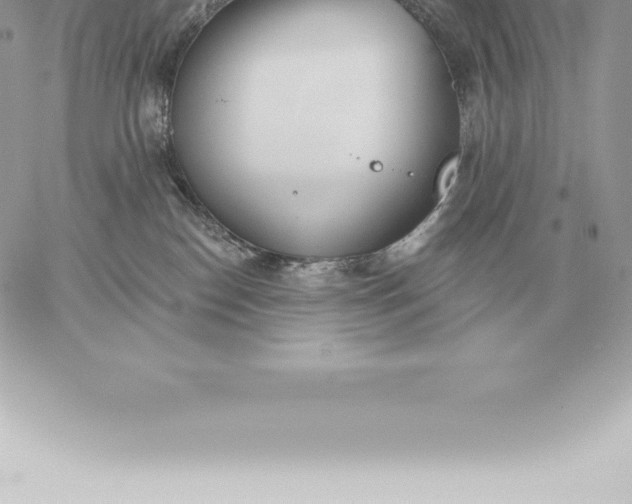 X0000060270186200511112056