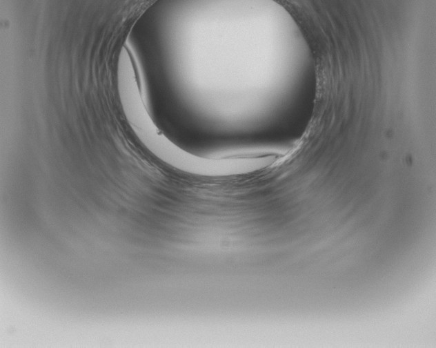 X0000060270187200511112056