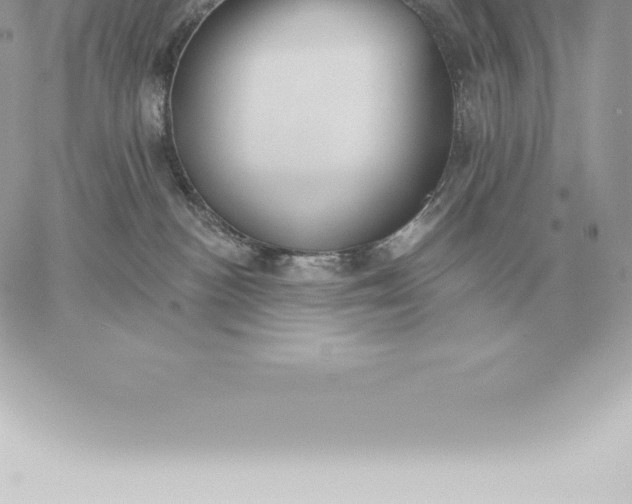 X0000060270188200511112056