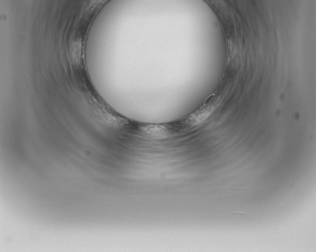 X0000060270189200511112056