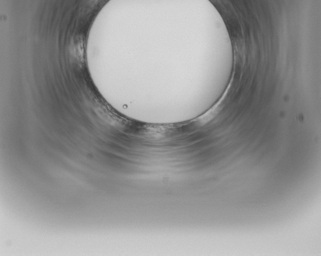 X0000060270190200511112056