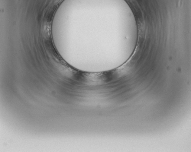 X0000060270191200511112056