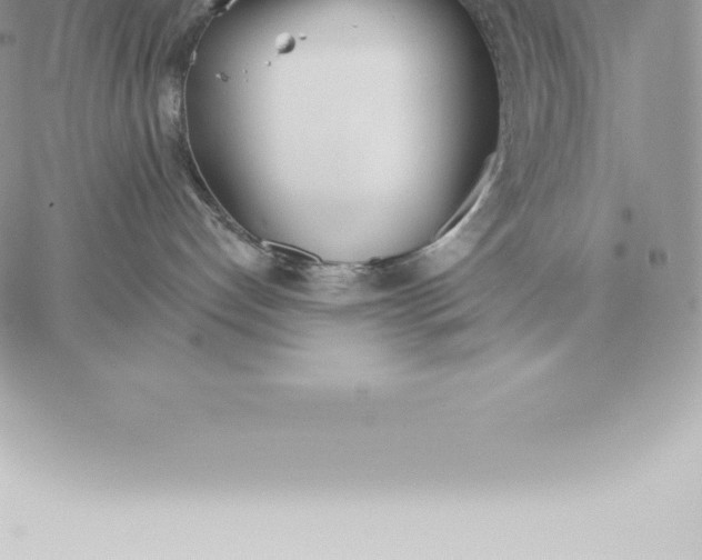 X0000060270192200511112056