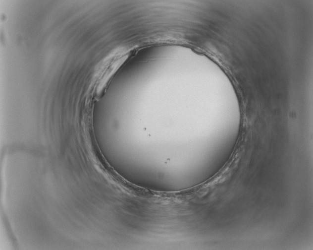 X0000060270193200511112056