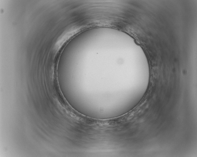 X0000060270194200511112056