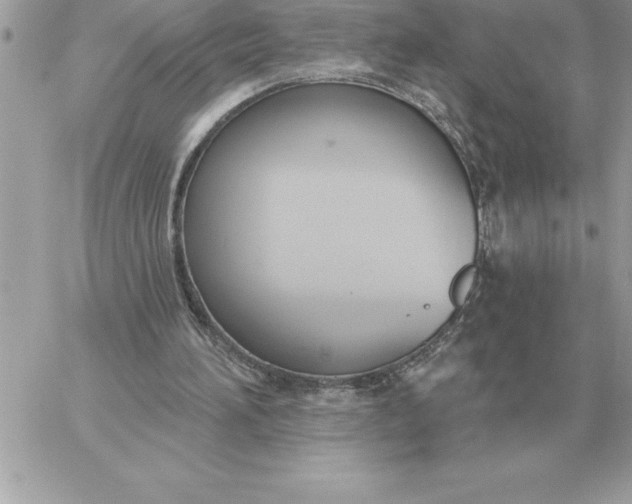 X0000060270196200511112056