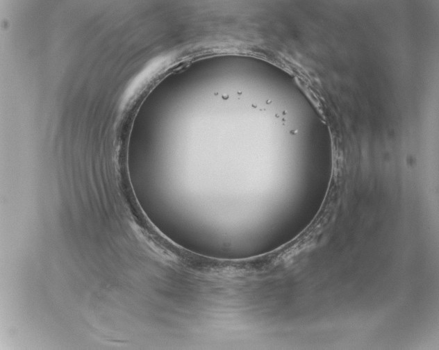 X0000060270197200511112056