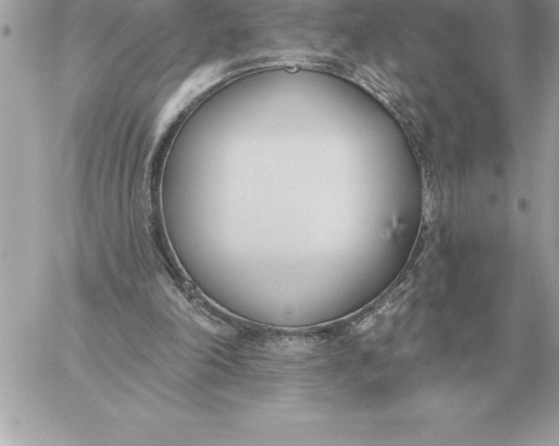 X0000060270198200511112055