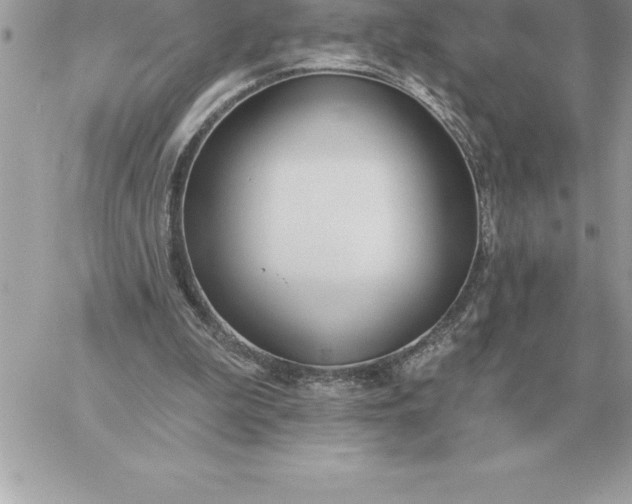 X0000060270199200511112055