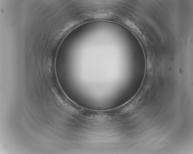 X0000060270201200511112055