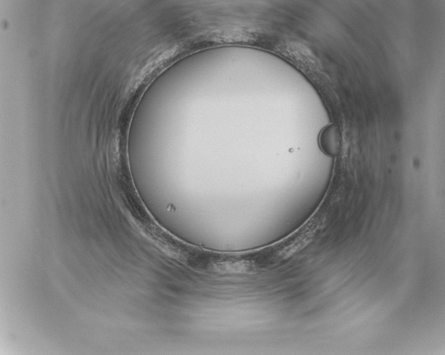 X0000060270202200511112055