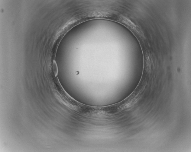 X0000060270203200511112055