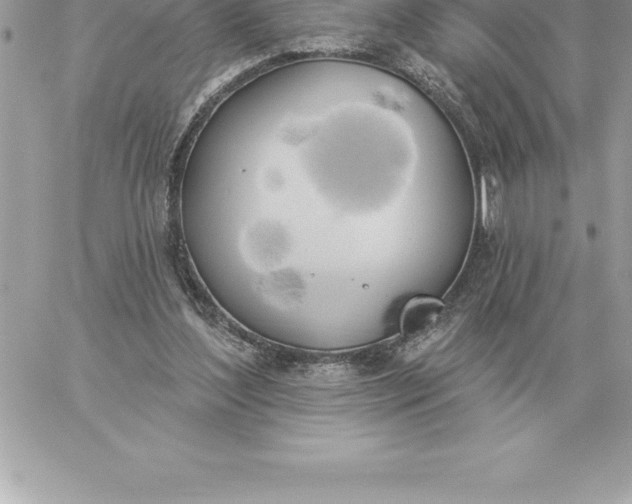 X0000060270204200511112055