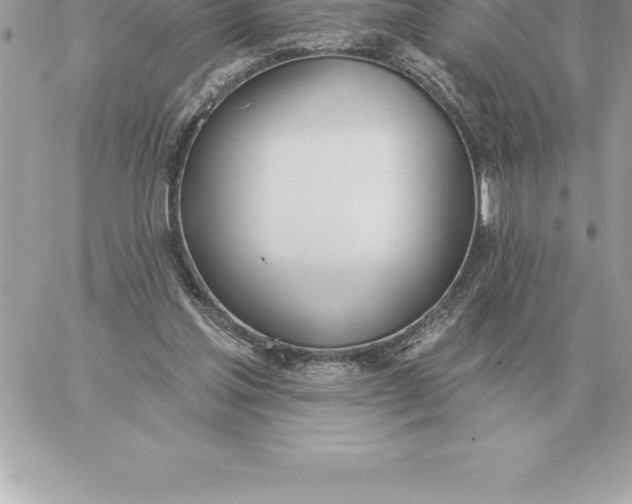 X0000060270205200511112055