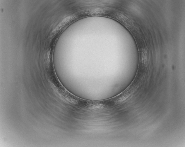 X0000060270206200511112055