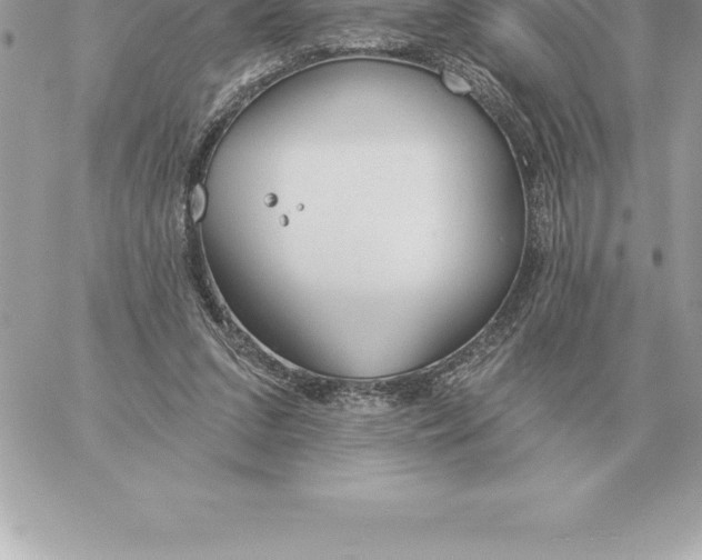 X0000060270207200511112055