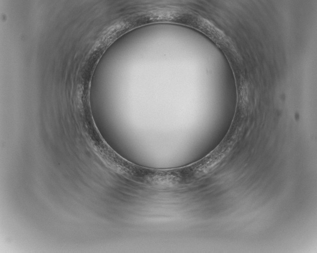 X0000060270209200511112055