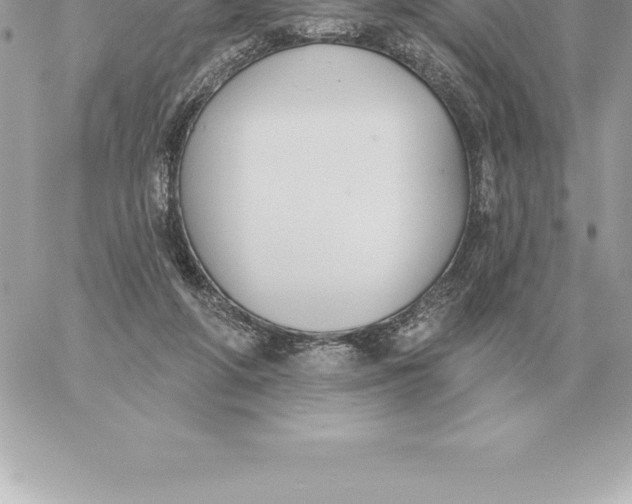 X0000060270210200511112055