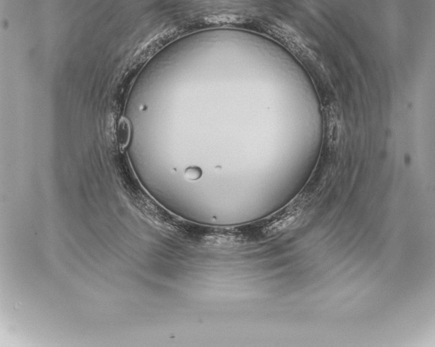 X0000060270211200511112055