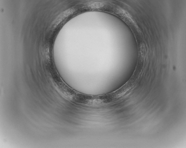 X0000060270212200511112055