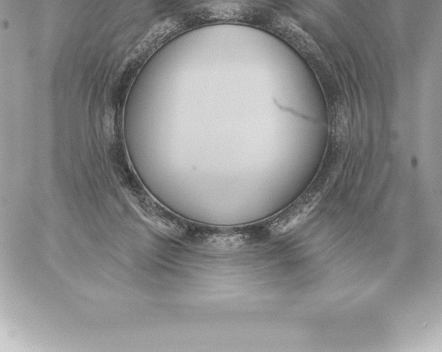 X0000060270213200511112055