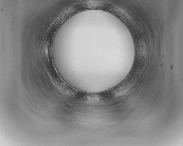 X0000060270214200511112055