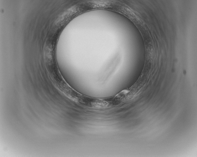 X0000060270215200511112055