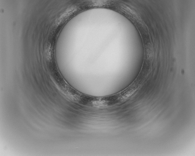 X0000060270216200511112055