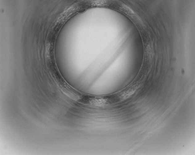 X0000060270217200511112055