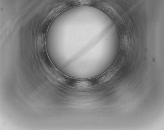 X0000060270218200511112055